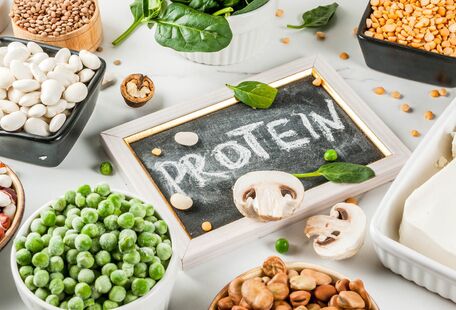 Rostlinné proteiny jako módní výstřelek, nebo výběr kvalitnějších potravin?
